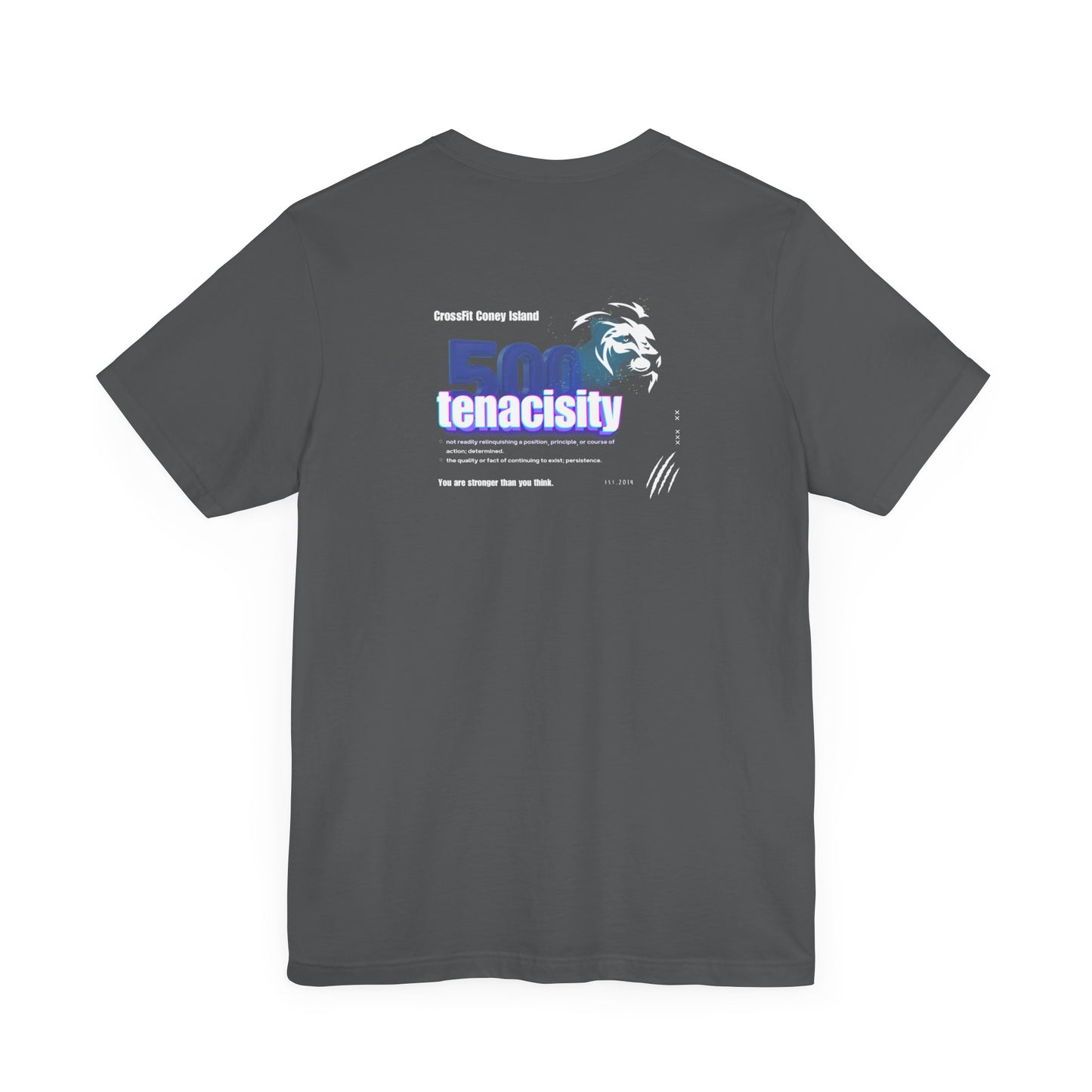 500 Workouts - TENACIOUS - Tee