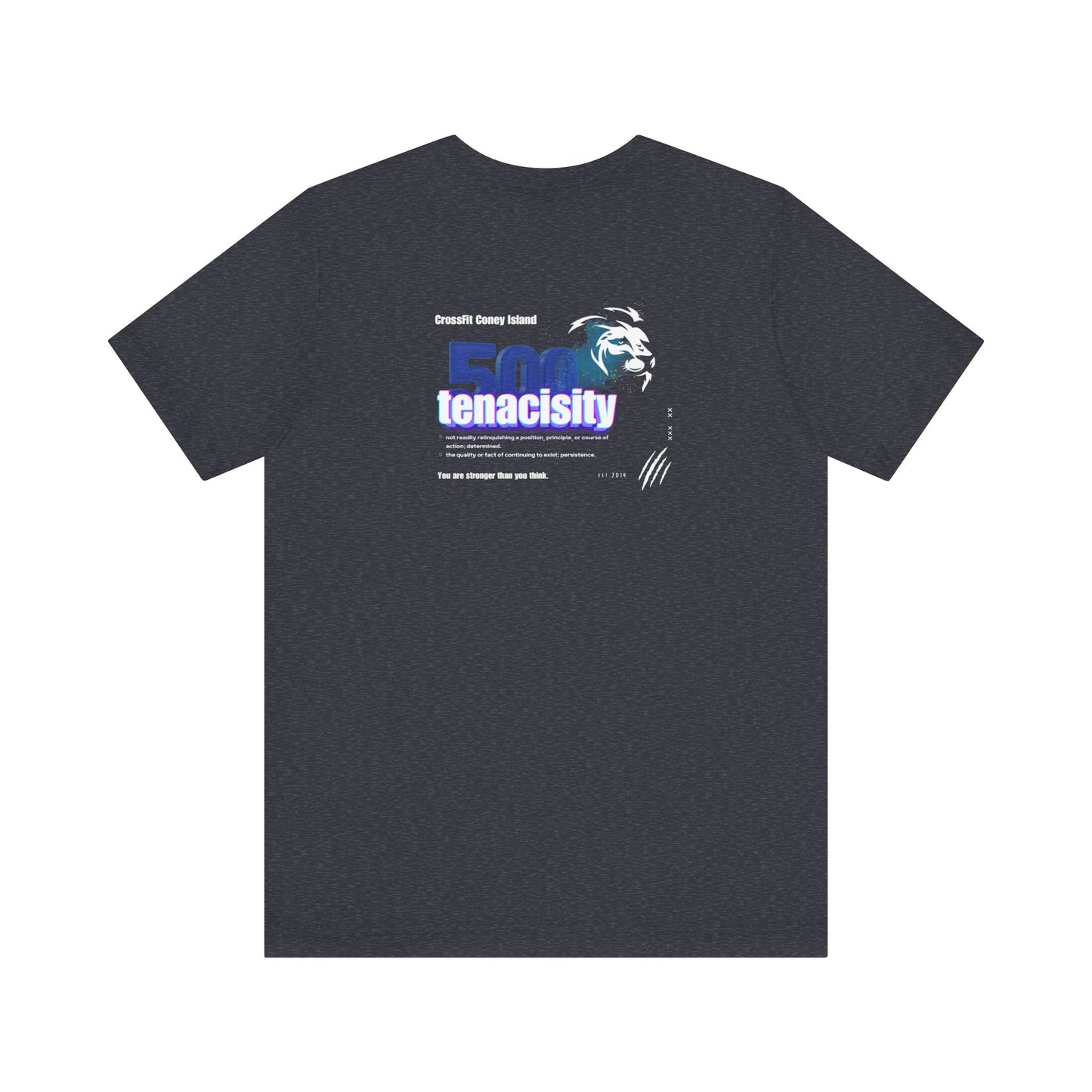 500 Workouts - TENACIOUS - Tee